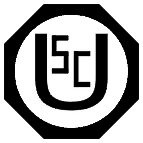 Die Hannover 96 Talents + Friends Fußballschule kommt nach Uchte